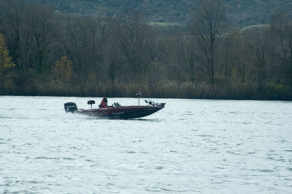 Valence-562