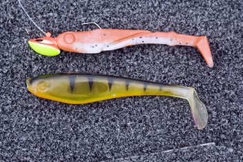 Paddle Tail Shad et Hollow Belly Shad 